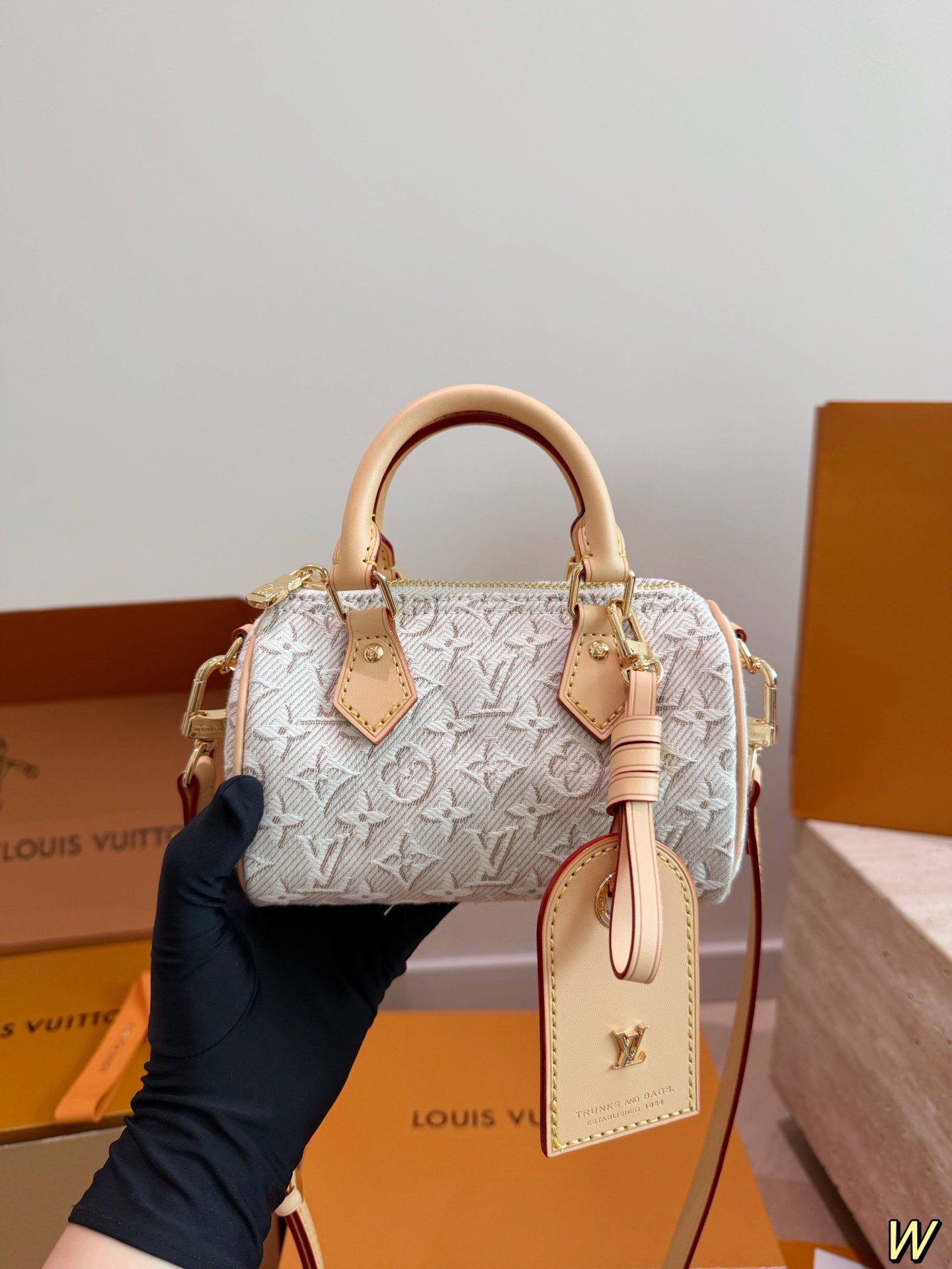 LV Speedy Handbag Monogram Canvas Embossed Canvas Crossbody Top Handle